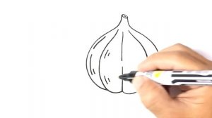 How to DRAW a GARLIC Easy Step by Step Drawing