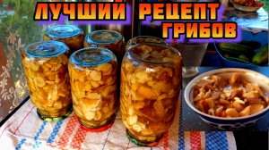 Лучший рецепт. Маринованные белые грибы, заготовки на зиму