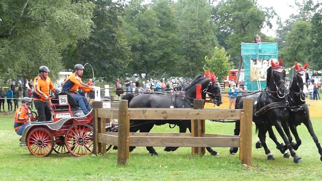van der Graaf, Edwin, NED, FEI EU CH H4, CHI Donaueschingen, Marathon Ob 6, 17 08 2019 смотреть онлайн