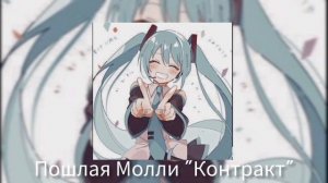Пошлая молли Контракт