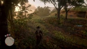 Золотистая смородина Red dead redemption 2