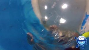 Бассейн для детей "Пузыри", Краснодар