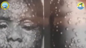 «Семей ядролық полигоны» әлеуметтік ролигі