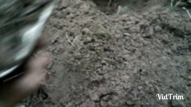 коп по немецким позициям... смотреть онлайн