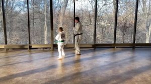 TaeKwonDo Green Belt Form Tutorial Taegeuk Sa Jang