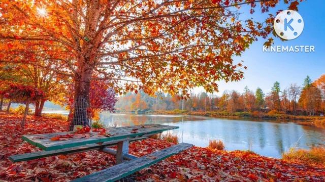 16 ноября 2022 г..mp4 смотреть онлайн