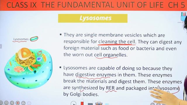 Cell Organelles | Chapter 5 | The Fundamental unit Of Life | Class 9 Science смотреть онлайн