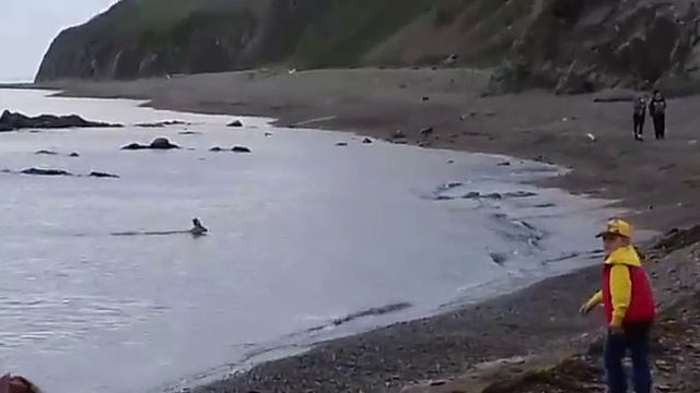 Олень Рудная пристань смотреть онлайн