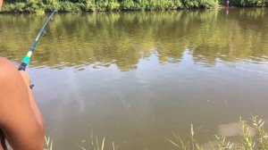 Рыбалка на спиннинг на реке Иня (пробы рыбалки), как закидывать спиннинг