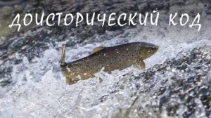 Доисторический код (Секреты Поднебесной)