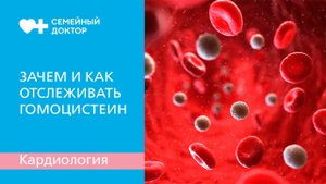 Зачем и как отслеживать гомоцистеин