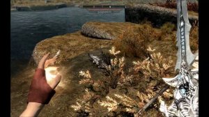 Slaughter Fish walking on land  glitch Skyrim