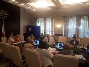 Дело о сбитой собаке или как себя вести водителю: два вопроса из практики