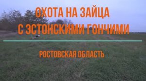 Охота на зайца с эстонскими гончими. Ростовская область.
