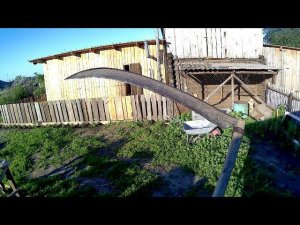 Утреннее кормление поросят, перепелов, кур.//  Новое потомство перепелов