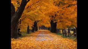 Осень, милая, шурши!