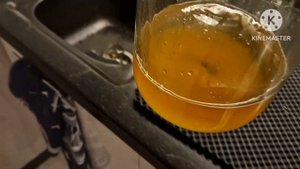 Приготовление камбучи (чайного гриба) на зелёном чае.
