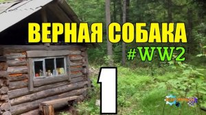 ЯРАНГ ВЕРНАЯ СОБАКА | ЭШЕЛОНЫ ИЗ БЕРЛИНА  | НАЙДЕНЫШ 1 из 5