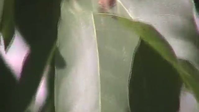 Свалява окраина города смотреть онлайн