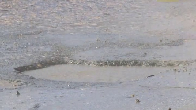 Информационный канал Город 19 03 14 (16+) смотреть онлайн