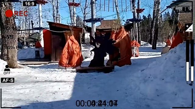 Куда пойти в Перми с ребенком? База Динамо смотреть онлайн