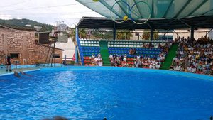 дельфинарий Адлер, 2 часть. июль 2024