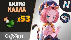 ЛИЛИЯ КАЛЛА - СБОР ВСЕХ. ЛУЧШИЙ МАРШРУТ | GENSHIN IMPACT