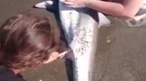 Девушки приняли роды у акулы, которая специально приплыла на берег