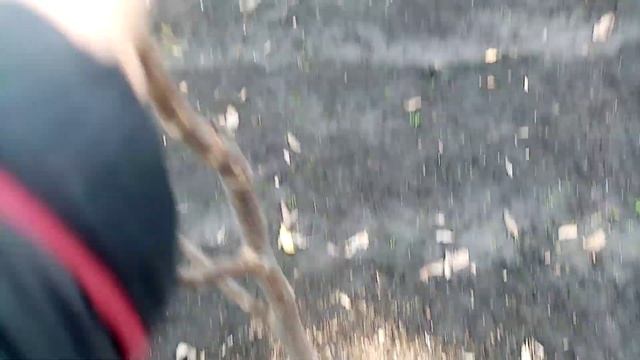 Обзор ОГОРОДА в начале НОЯБРЯ???. 11.11.23г?? смотреть онлайн