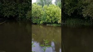 рыбалка река,, Барыш"