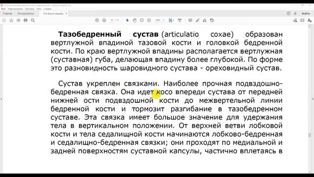 Кости нижней конечности и их соединения (Часть №2)