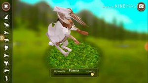 Я нашла смешное видео про рысь 😂😂😂🤣🤣😹