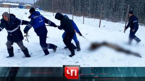 «ЧП»: 13 ноября 2023 года | «Чрезвычайное происшествие» на НТВ