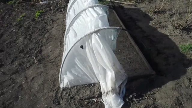 Парник міні теплиця з агроволокна