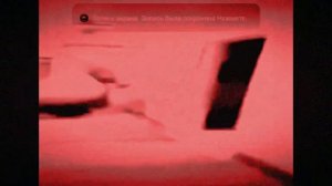 медведь бежит за оператором но это хоррор ( фон не мой )