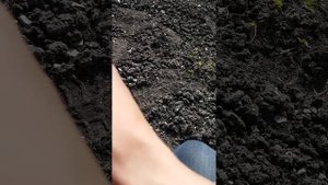 Настройки быстрые Гаррет АТХ