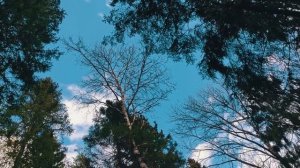 Сестра получила фронтовую весточку от брата спустя 78 лет.