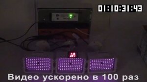 Тестирование Бирп 12 4