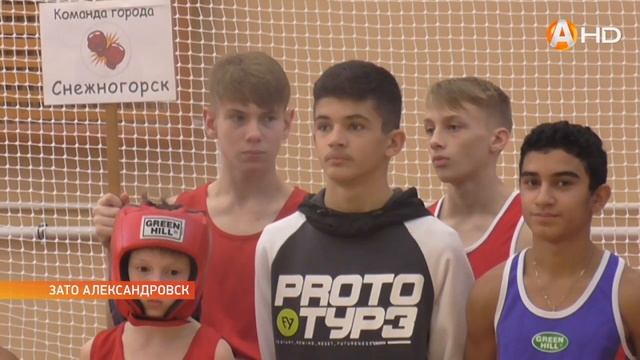 Первые шаги в мир большого бокса смотреть онлайн