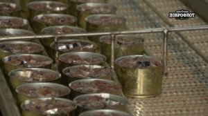 Доброфлот  Dobroflot Всеволод Сибирцев