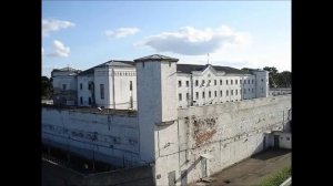 Рабочий петух на зоне.