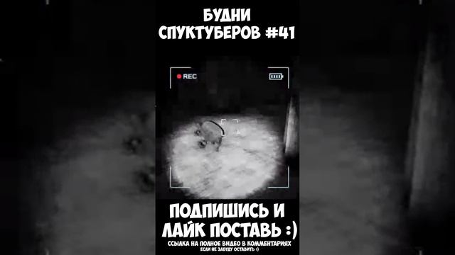 Будни спуктуберов #41 | Content Warning #contentwarning #gaming #игры #будни #games #game