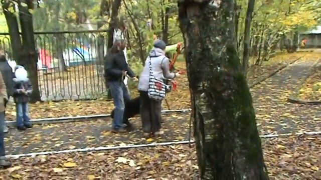 6 октября праздник для собак 9 смотреть онлайн