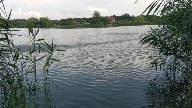 прикормочный кораблик 30 км/ч