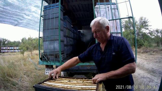 Пчёлы восхищают-удивляют-крылатые труженицы-работоспособностью. смотреть онлайн