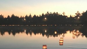 Курортное озеро Железноводска посетило более миллиона туристов