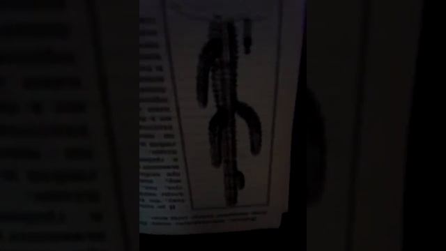 Съедобны ли кактусы? смотреть онлайн