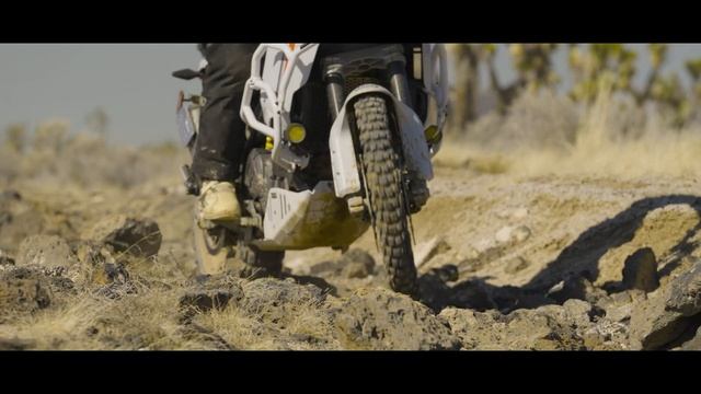 No Absolutes - Ducati DesertX #ducatidesertx #outbackmotortek #4k #cinematic