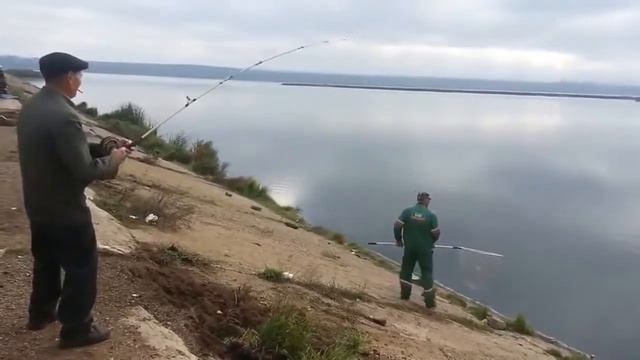 Нереальная рыбалка Гигантский Амур порвал подсак в клочья! Смотреть всем! смотреть онлайн