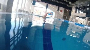 ГРЕБОК В КРОЛЕ, РАЗБОР ТЕХНИКИ #freestyle #плавание #swimming